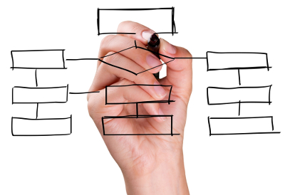 Organizational Design- Providing Assessments on Organizational Structure, Roles, and Positions
